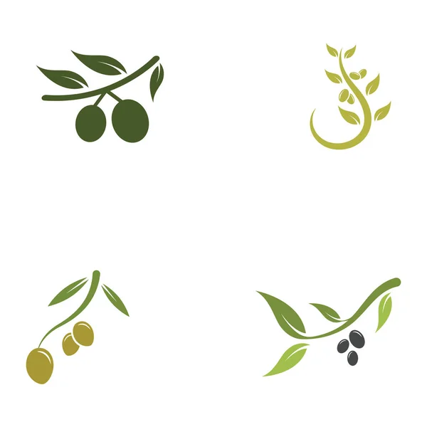 Olive Symbol Vektor Illustration Design Vorlage — Stockvektor