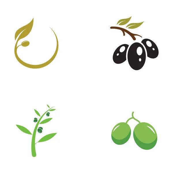 Olive Symbol Vektor Illustration Design Vorlage — Stockvektor