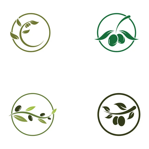 Olive Symbol Vektor Illustration Design Vorlage — Stockvektor