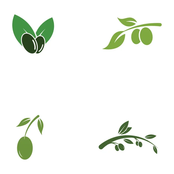 Modèle Conception Illustration Vectorielle Icône Olive — Image vectorielle