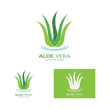 Aloe vera simge logo vektör çizimi 