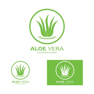 Aloe vera simge logo vektör çizimi 