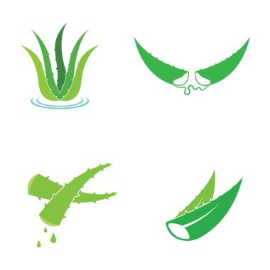 Aloe vera simge logo vektör çizimi 