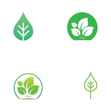 Yaprak logosu ve vektör resimleri