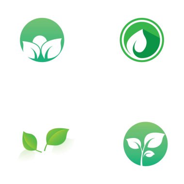 Yaprak logosu ve vektör resimleri