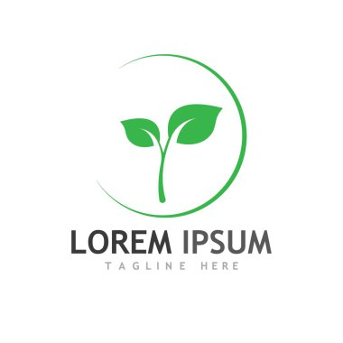 Yaprak logosu ve vektör resimleri