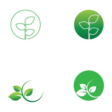 Yaprak logosu ve vektör resimleri