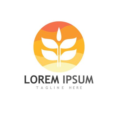 Tarım buğday vektör tasarımı 