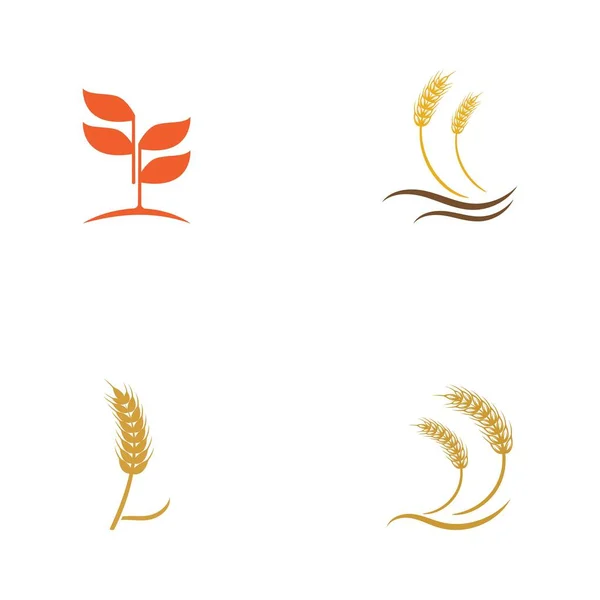 Agricultura Trigo Vector Icono Diseño — Archivo Imágenes Vectoriales