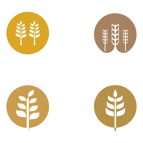 Logotipo Trigo Cereal Campo Trigo Logo Fazenda Trigo Fácil Simples —  Vetores de Stock