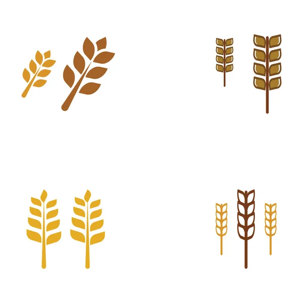 Логотип Пшениці Або Зернових Пшеничне Поле Логотип Пшеничної Ферми Легким — стоковий вектор