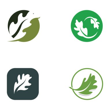 Sonbahar meşe yaprağı logosu ve meşe ağacı logosu. Düzenleme vektör illüstrasyonuyla.