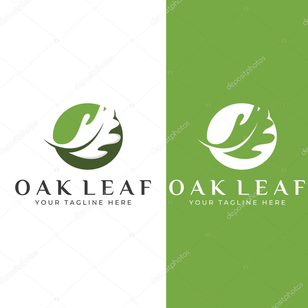 Autumn oak leaf logo and oak tree logo. With editing vector illustration.