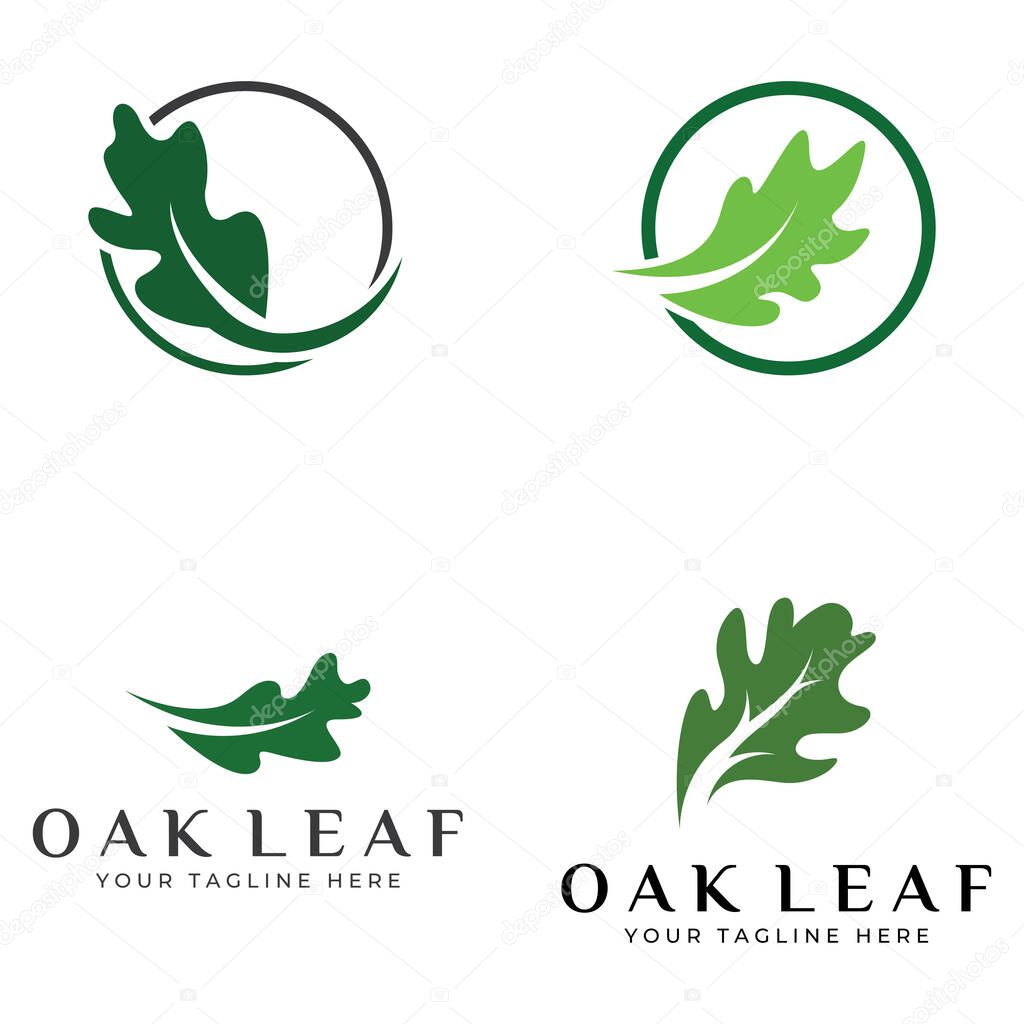 Autumn oak leaf logo and oak tree logo. With editing vector illustration.