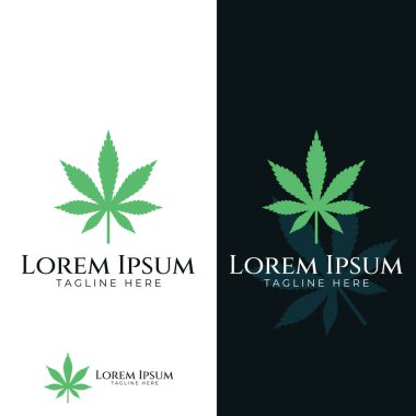 Marijuana or cannabis  leaf logo or template design.