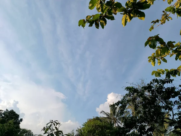 Schönes Himmelsformat Einem Sonnigen Nachmittag Hinterhof Umgeben Von Bäumen — Stockfoto