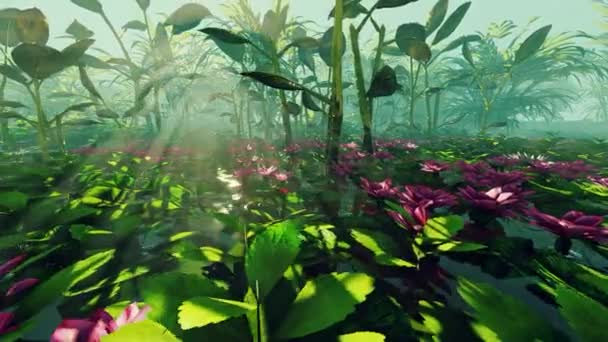 Pântano Com Plantas Tropicais Floridas — Vídeo de Stock