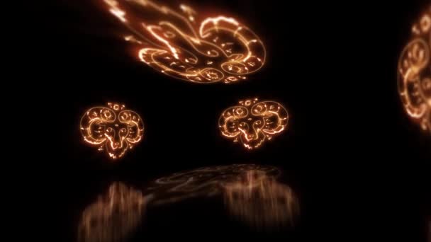 白羊座黄道带着反射地面平面的3D环境中的星座 — 图库视频影像