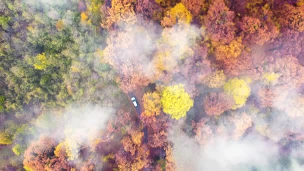 汽车在秋天的森林里穿越云彩 — 图库视频影像