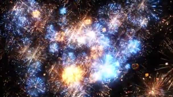 Fuochi Artificio Colorati Animazione — Video Stock