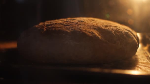 Отсрочка Видео Хлеба Запеченного Духовке — стоковое видео