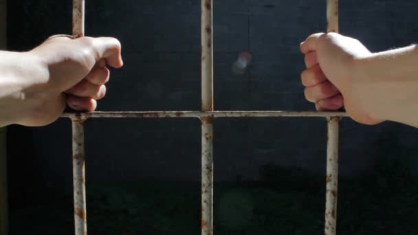 Prisonnier Étendant Ses Mains Pour Attraper Les Barreaux Prison — Video