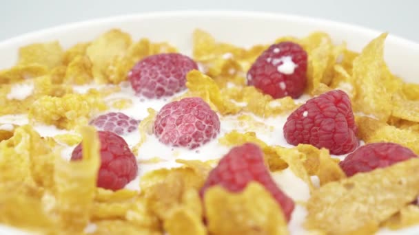 Cuenco Cereales Con Frambuesas Leche Girando Sobre Fondo Blanco — Vídeos de Stock