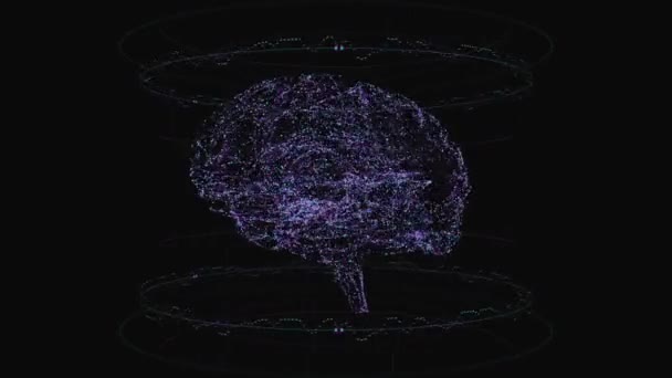 3Dで回転するデジタル脳 — ストック動画