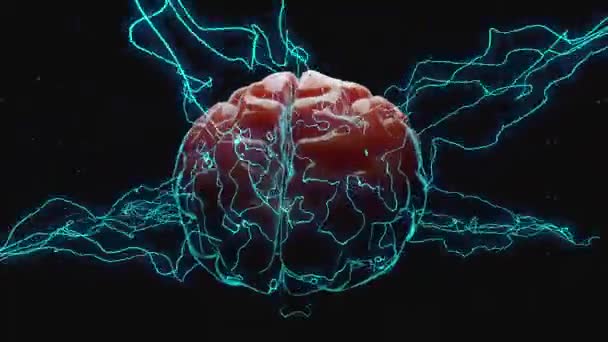 Cerebro Eléctrico Contra Fondo Oscuro — Vídeo de stock