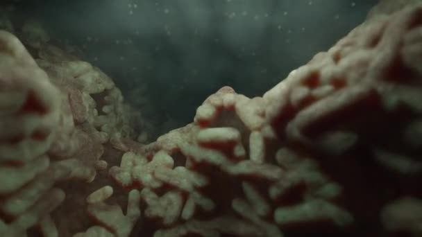 緑で撮影された細菌マクロ3D — ストック動画