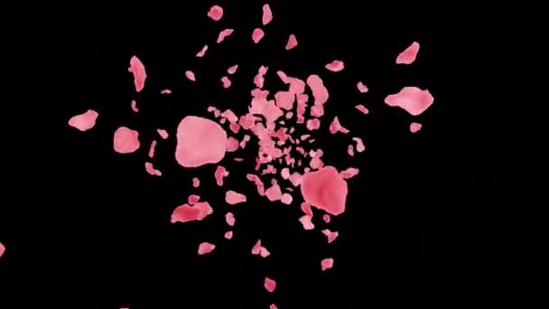 500 Petali Rosa Cadono Lentamente Formare Cuore — Video Stock