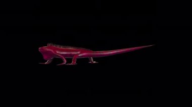 Şeffaf (alfa) arkaplan ile Renkli Döngü İguana Yürüyüşü canlandırması