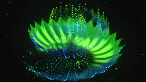 Magic Flower Ett Svart Glas — Stockvideo