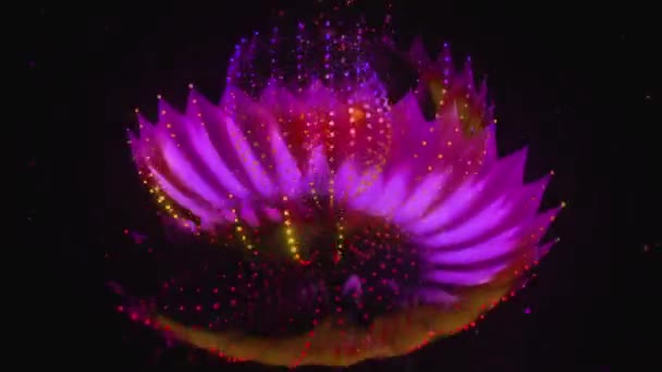 Magiczny Fioletowy Kwiat Czarnej Szklance — Wideo stockowe