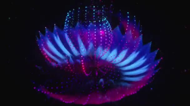 Kouzelná Modrá Fialová Květ Černém Skle — Stock video