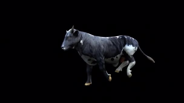 Big Bull Loopt Rond Een Boerderij Met Transparante Alfa Achtergrond — Stockvideo