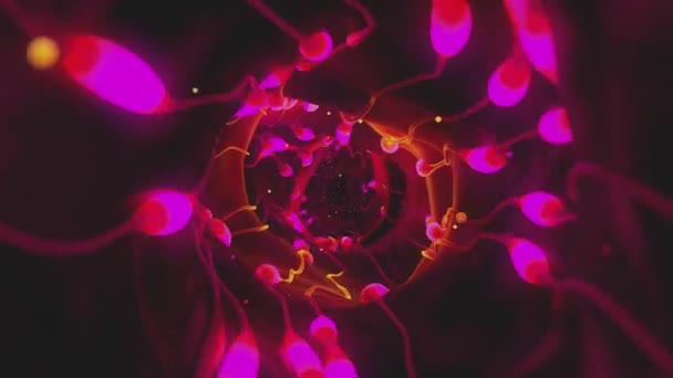 Corona Virus Garganta Profunda Bucle Animación Rosa — Vídeos de Stock