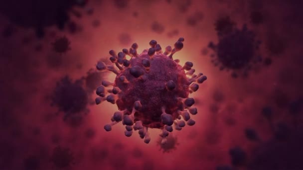 Анимация Движущихся Красных Коронных Вирусных Клеток — стоковое видео