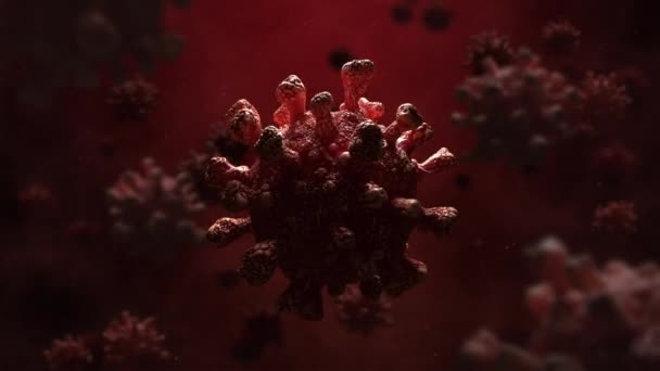 Animazione Delle Cellule Virali Della Corona Rossa Sfondo Sanguigno — Video Stock