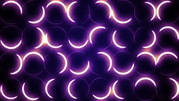 紫と白の円背景 — ストック動画