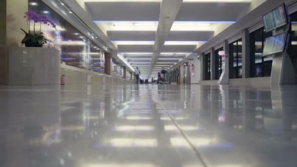 Traslado Por Terminal Principal Del Aeropuerto Internacional Incheon — Vídeo de stock