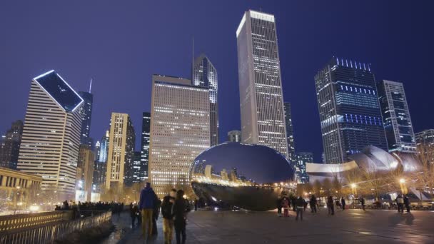 Cloud Gate Bean Sculpture Millenium Park Chicago — Stock Video