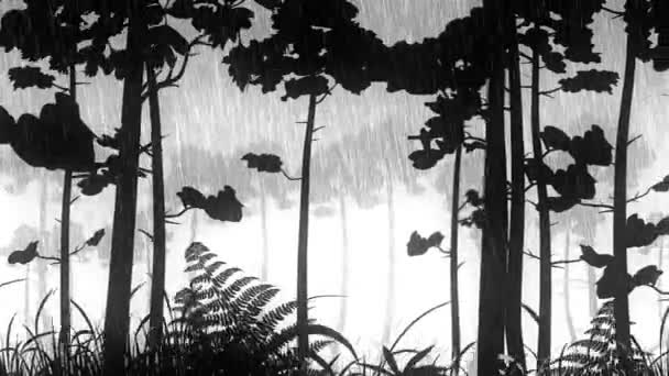 Ilustración Gráfica Blanco Negro Forma Selva Tropical Nocturna — Vídeos de Stock
