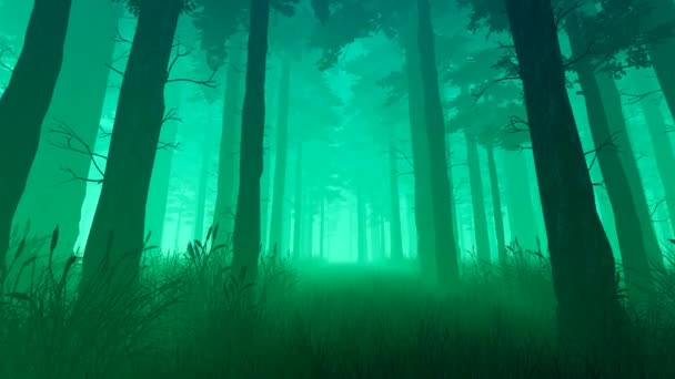 Bosque Niebla Verde Una Animación — Vídeo de stock