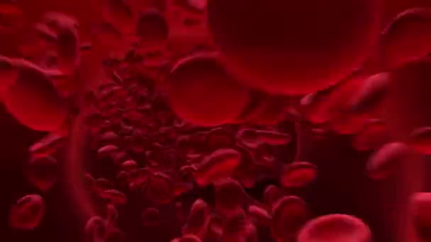 Miljoner Erytrocyter Som Strömmar Genom Vener — Stockvideo
