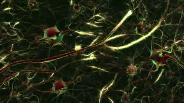 Datorgenererade Nervceller Som Avfyrade Efter — Stockvideo