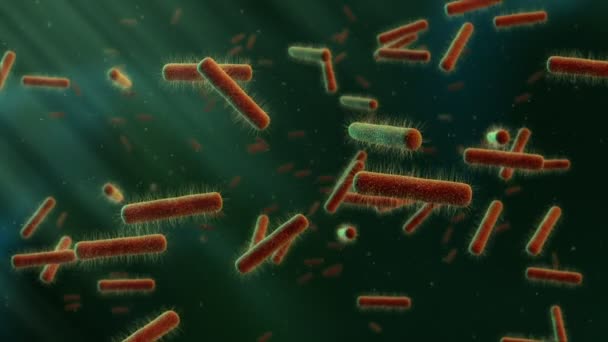 Bacterias Flotantes Espacio Animado Verde — Vídeo de stock