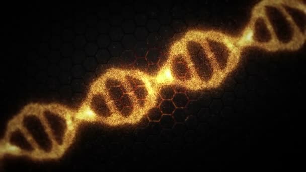 Orange Dna Animation — Stockvideo