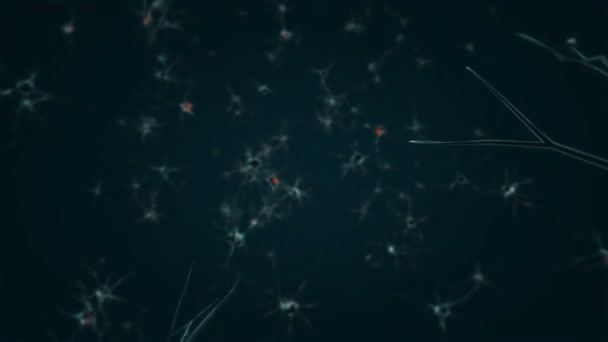 Νευρώνες Που Ενεργοποιούνται Animation — Αρχείο Βίντεο