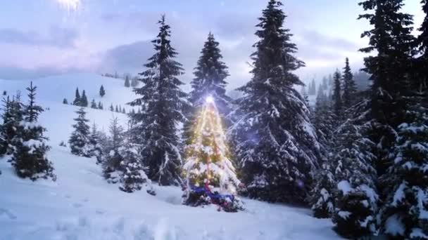 Zdjęcie Choinki Światłami Naturalnym Otoczeniu Otoczonym Drzewami Górskimi Śniegiem — Wideo stockowe